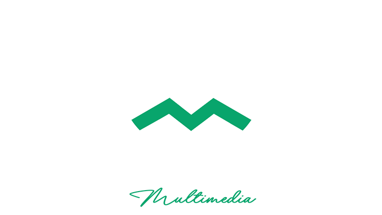 Logo Website